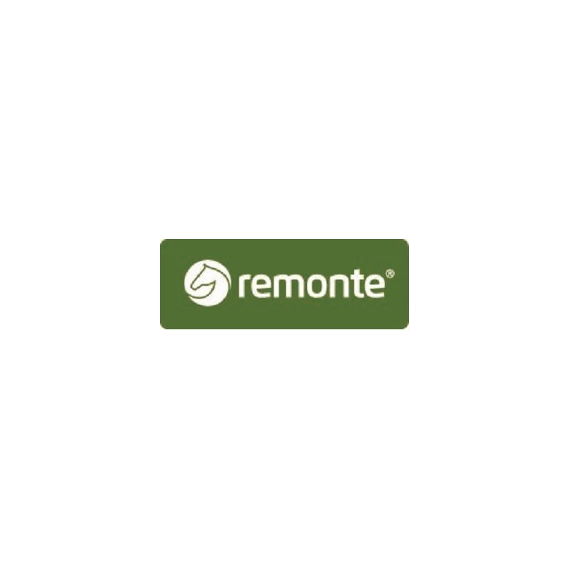 Remonte